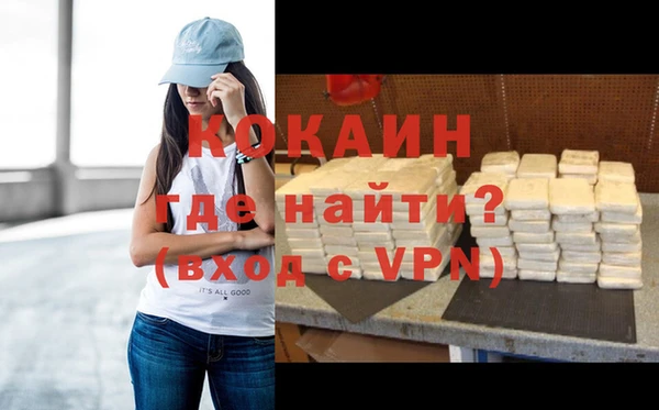 шишки Богородск