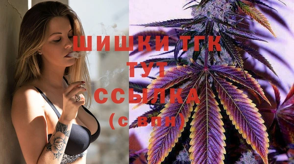 спайс Богородицк