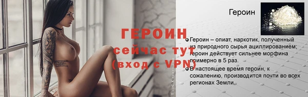гидра Богданович