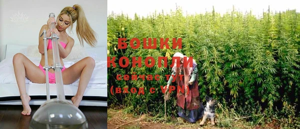 гидра Богданович