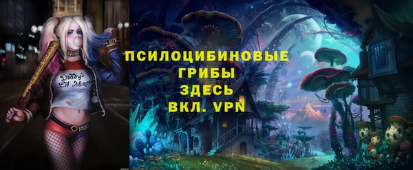 спайс Богородицк