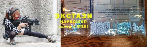 гидра Богданович