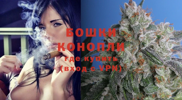 гидра Богданович