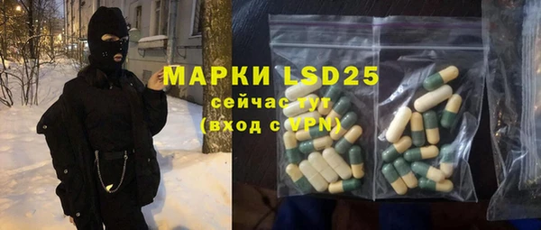 гидра Богданович