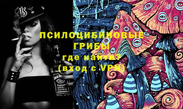 шишки Богородск
