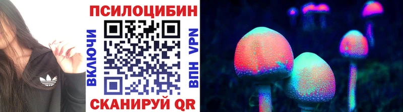 Галлюциногенные грибы Psilocybine cubensis  Купить где  Мариинск 